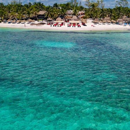 Serenity Authentic Glamping Tulum (Adults Only) 西普哈 外观 照片